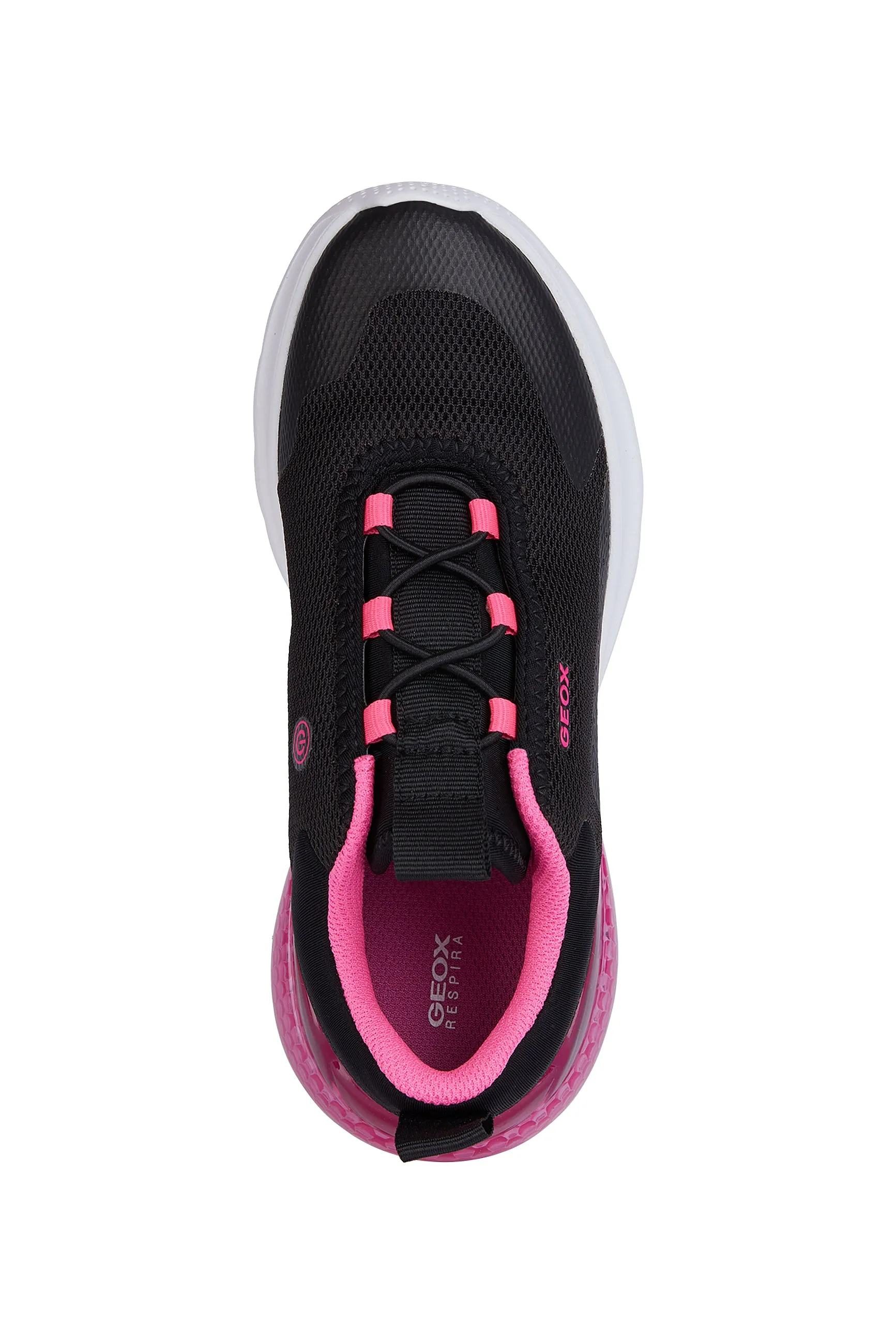 Geox - Activart Illuminus - Black/Fuschia