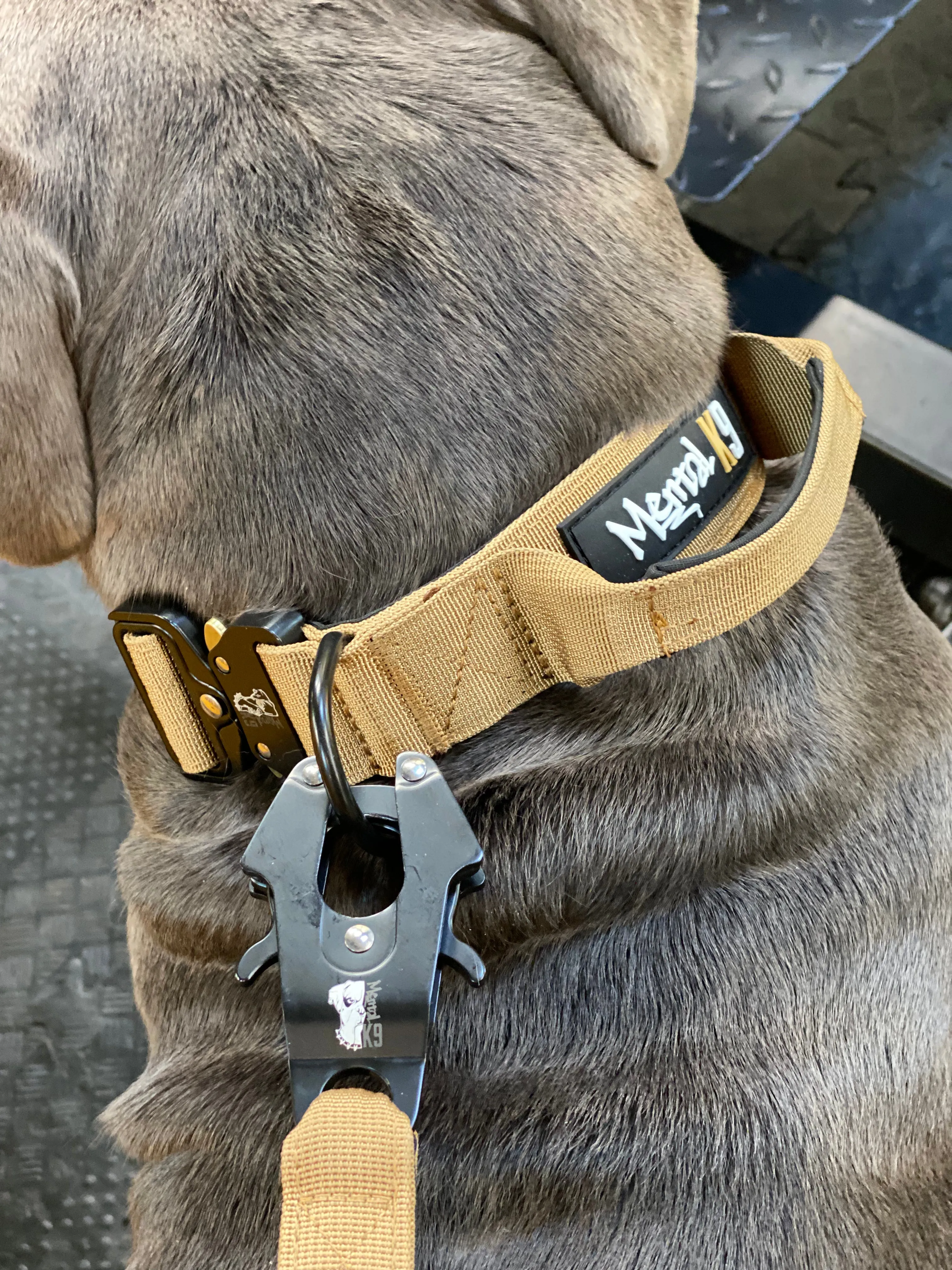 Mental K9 Combat Dog Collar